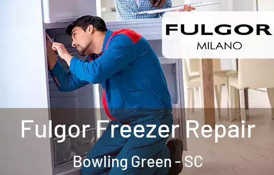  Fulgor Freezer Repair Bowling Green - SC