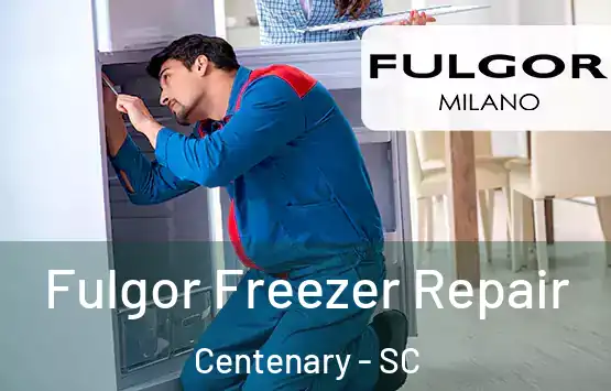  Fulgor Freezer Repair Centenary - SC