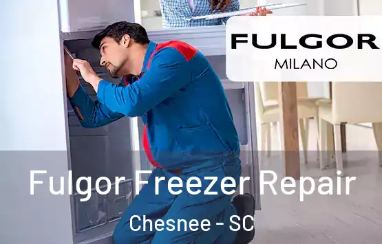  Fulgor Freezer Repair Chesnee - SC