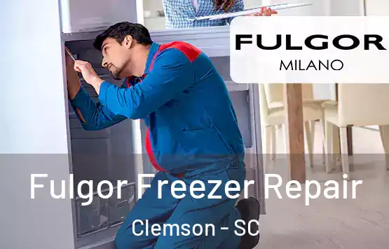 Fulgor Freezer Repair Clemson - SC