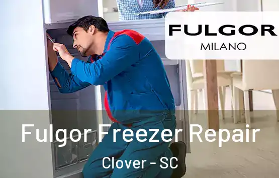  Fulgor Freezer Repair Clover - SC