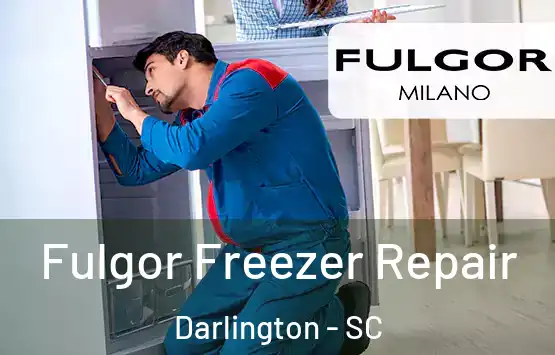  Fulgor Freezer Repair Darlington - SC