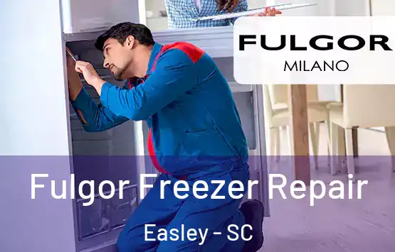  Fulgor Freezer Repair Easley - SC