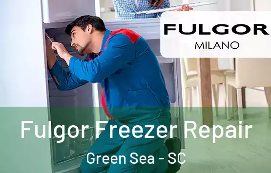  Fulgor Freezer Repair Green Sea - SC