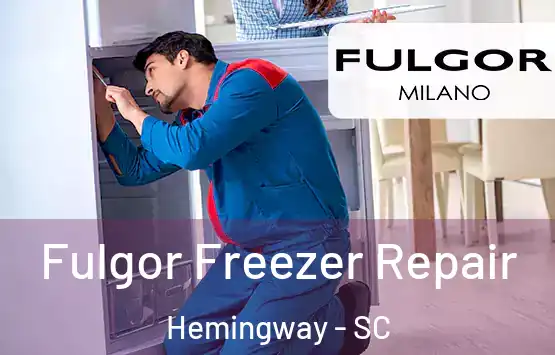  Fulgor Freezer Repair Hemingway - SC