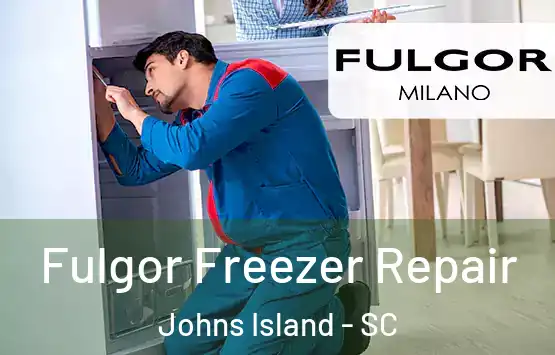  Fulgor Freezer Repair Johns Island - SC