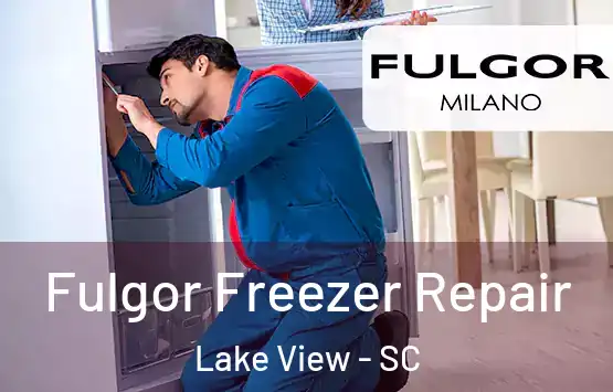  Fulgor Freezer Repair Lake View - SC