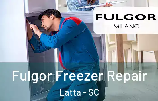  Fulgor Freezer Repair Latta - SC