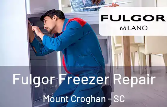  Fulgor Freezer Repair Mount Croghan - SC
