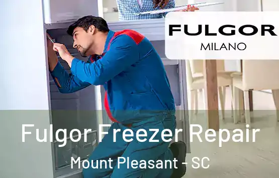  Fulgor Freezer Repair Mount Pleasant - SC