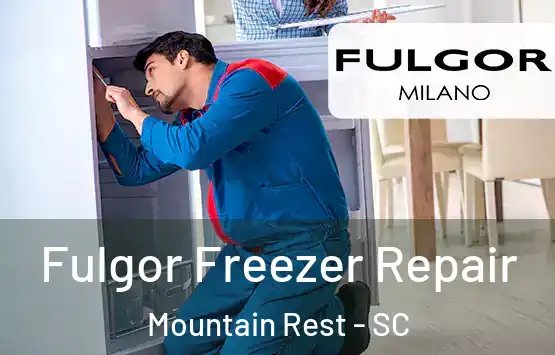  Fulgor Freezer Repair Mountain Rest - SC