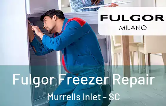  Fulgor Freezer Repair Murrells Inlet - SC