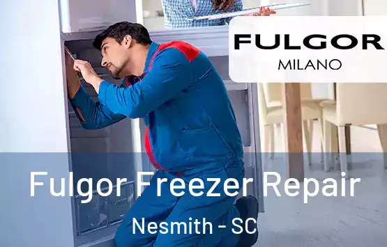  Fulgor Freezer Repair Nesmith - SC