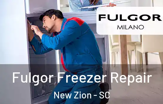  Fulgor Freezer Repair New Zion - SC