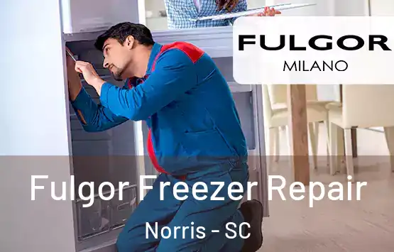  Fulgor Freezer Repair Norris - SC