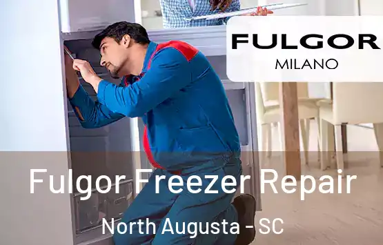  Fulgor Freezer Repair North Augusta - SC
