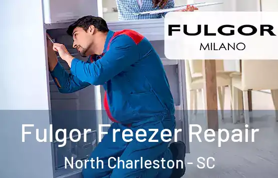  Fulgor Freezer Repair North Charleston - SC