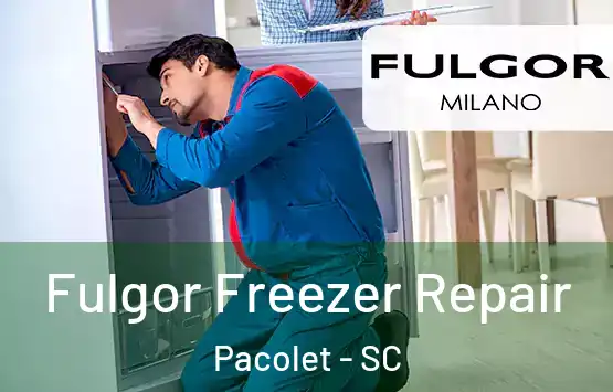  Fulgor Freezer Repair Pacolet - SC