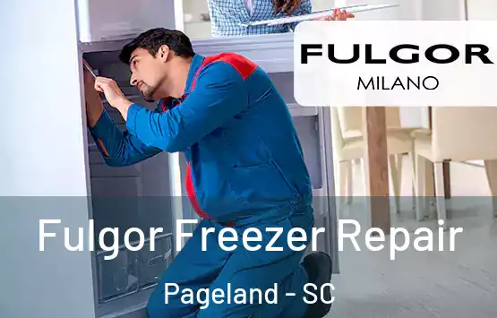 Fulgor Freezer Repair Pageland - SC