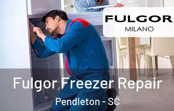  Fulgor Freezer Repair Pendleton - SC