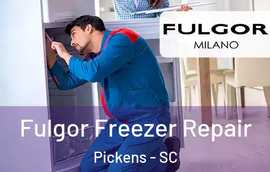  Fulgor Freezer Repair Pickens - SC