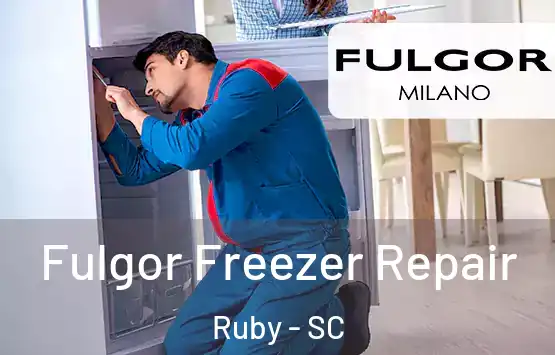  Fulgor Freezer Repair Ruby - SC