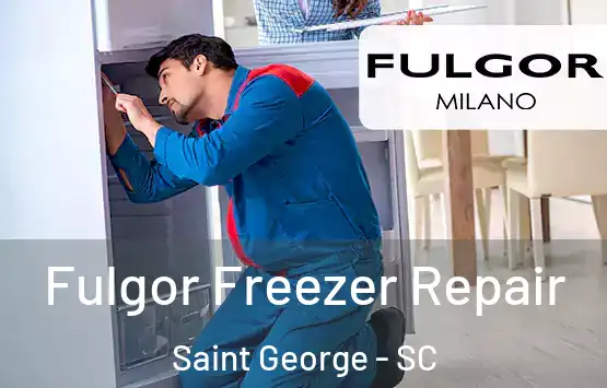  Fulgor Freezer Repair Saint George - SC