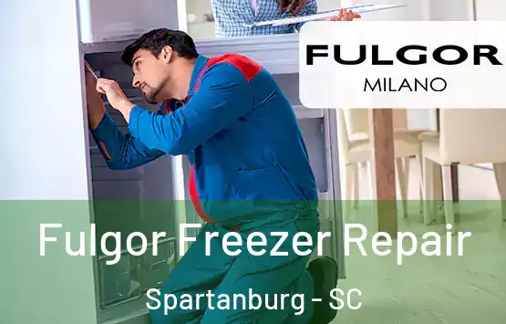  Fulgor Freezer Repair Spartanburg - SC