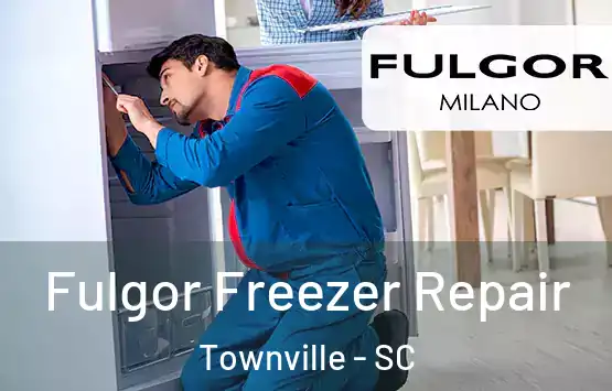  Fulgor Freezer Repair Townville - SC