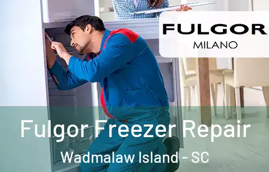  Fulgor Freezer Repair Wadmalaw Island - SC