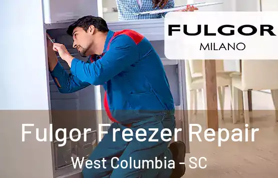  Fulgor Freezer Repair West Columbia - SC