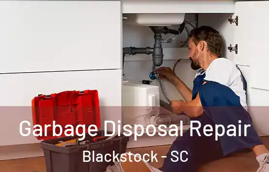  Garbage Disposal Repair Blackstock - SC