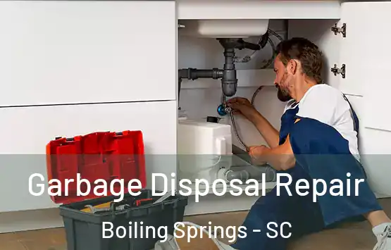  Garbage Disposal Repair Boiling Springs - SC