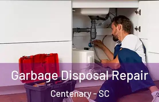  Garbage Disposal Repair Centenary - SC