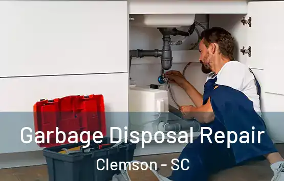  Garbage Disposal Repair Clemson - SC