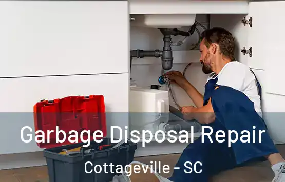  Garbage Disposal Repair Cottageville - SC