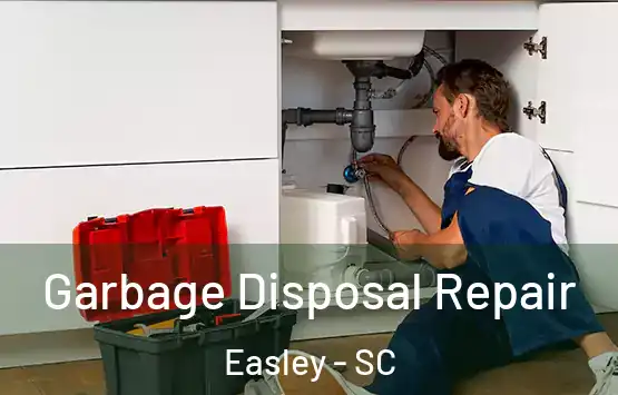  Garbage Disposal Repair Easley - SC