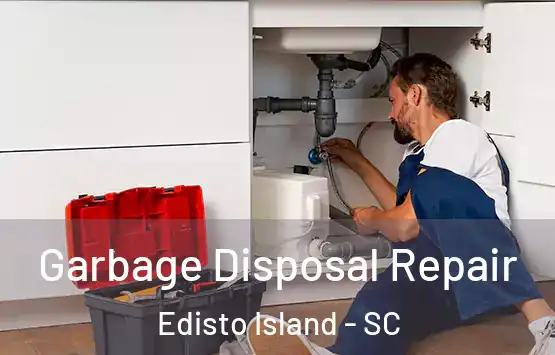  Garbage Disposal Repair Edisto Island - SC