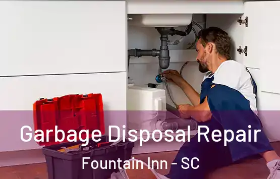  Garbage Disposal Repair Fountain Inn - SC