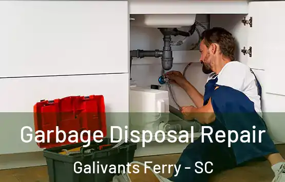  Garbage Disposal Repair Galivants Ferry - SC
