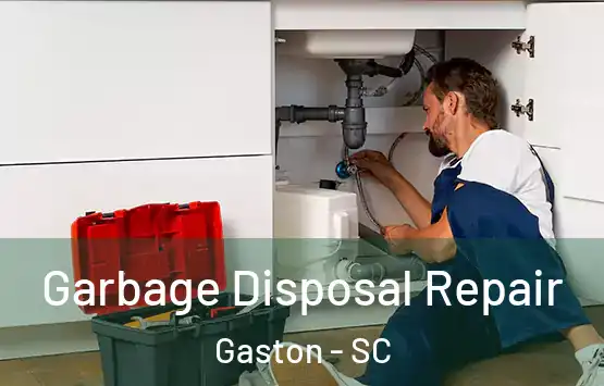  Garbage Disposal Repair Gaston - SC