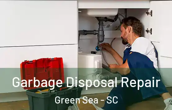  Garbage Disposal Repair Green Sea - SC