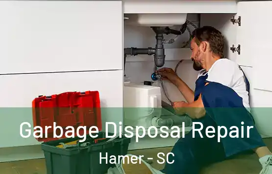  Garbage Disposal Repair Hamer - SC