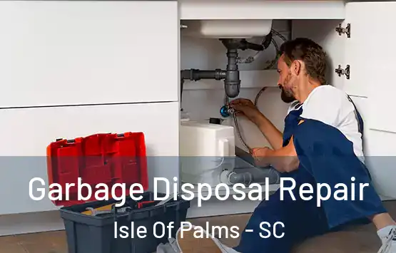  Garbage Disposal Repair Isle Of Palms - SC
