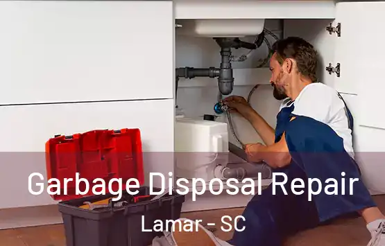 Garbage Disposal Repair Lamar - SC