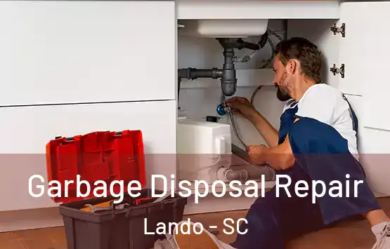  Garbage Disposal Repair Lando - SC