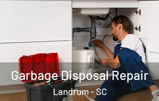 Garbage Disposal Repair Landrum - SC