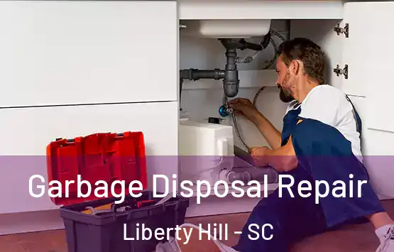  Garbage Disposal Repair Liberty Hill - SC