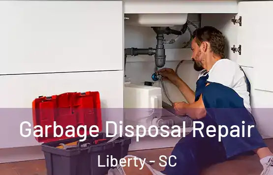  Garbage Disposal Repair Liberty - SC