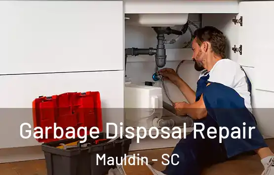  Garbage Disposal Repair Mauldin - SC